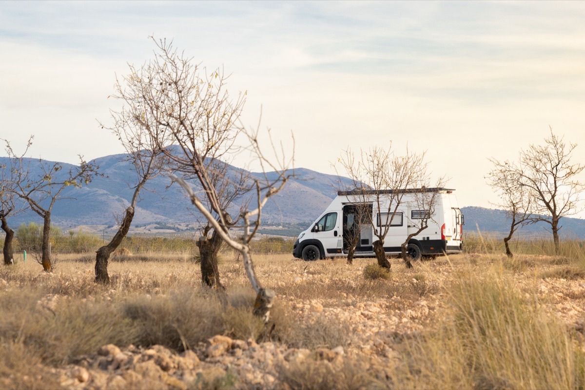Campervan parked among bare olive trees with mountains in the background in Spain