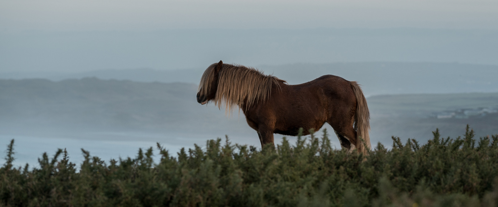 A weekend in the Gower