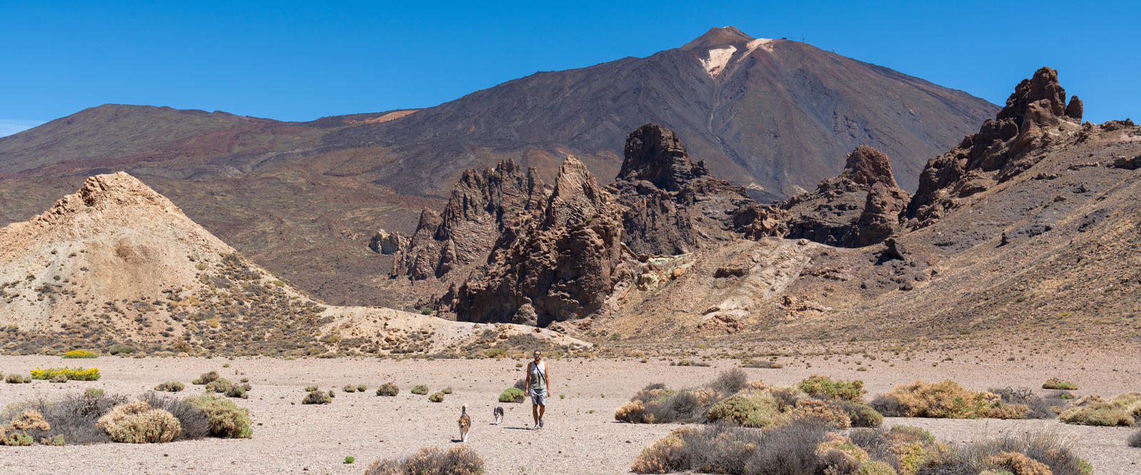 How to get camping permits in Tenerife